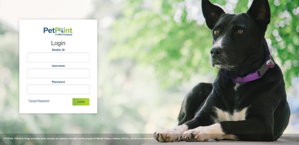 PetPoint Login