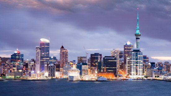 Establishing Any Type Of Company In New Zealand